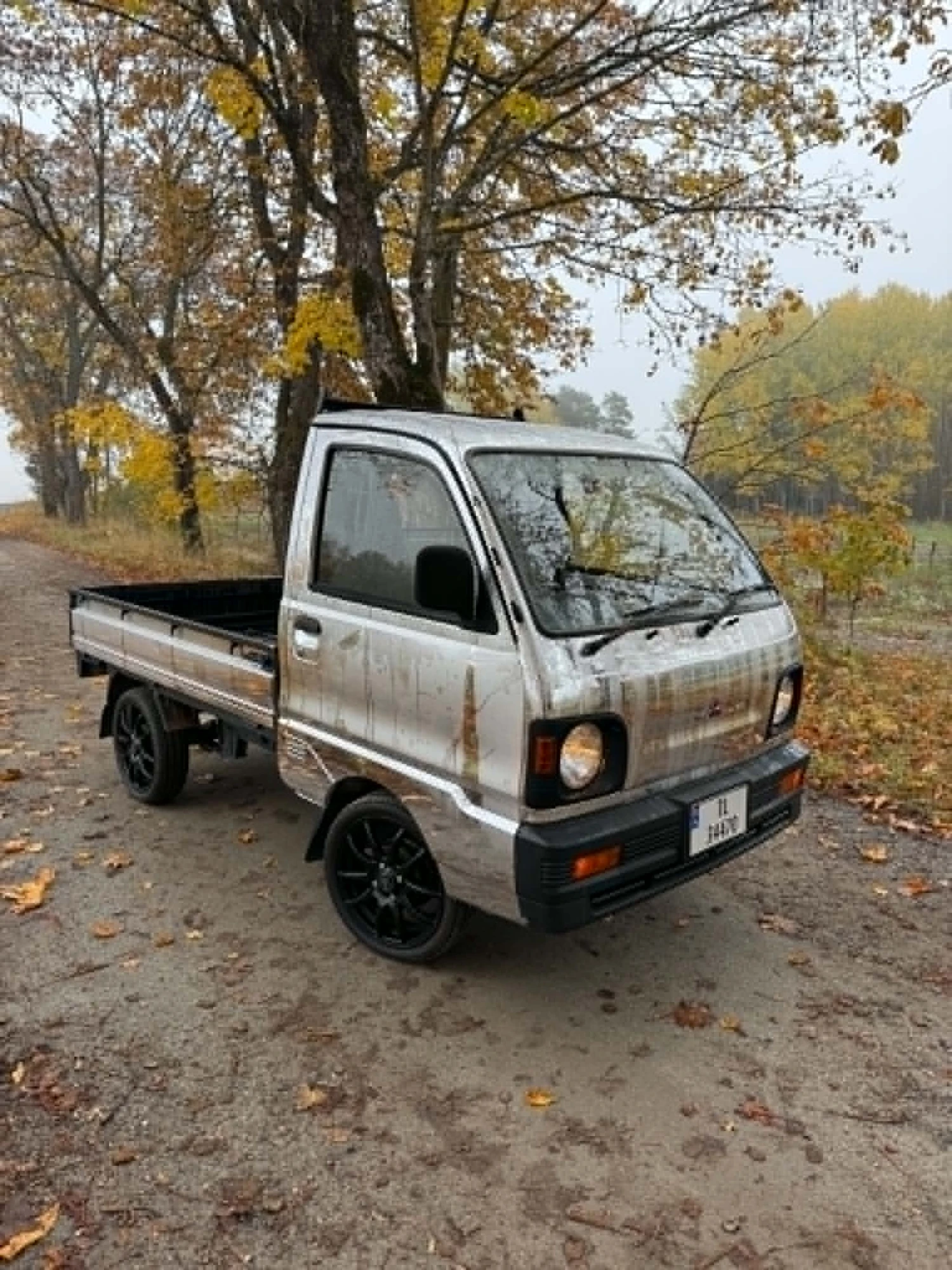 Sølvgrå Mitsubishi Minicab med svarte felger på en grusvei med høstløv